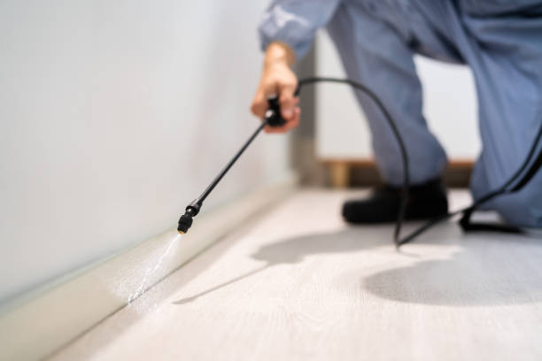 Licensed Termite Control service in Chamberlain, SD - Nex Pest Control