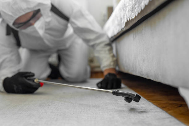 Professional Termite Control technician working in Chamberlain, SD