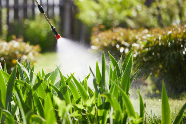 24/7 Emergency Termite Control experts in Chamberlain, SD
