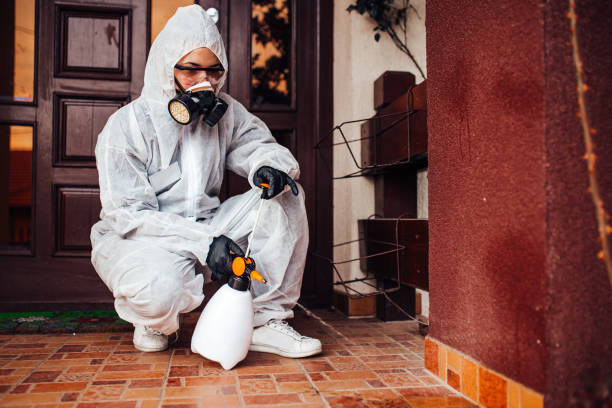 Reliable Termite Control contractor in Chamberlain, SD by Nex Pest Control