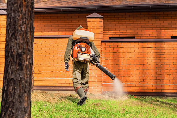 Top rated local Termite Control specialists in Chamberlain, SD